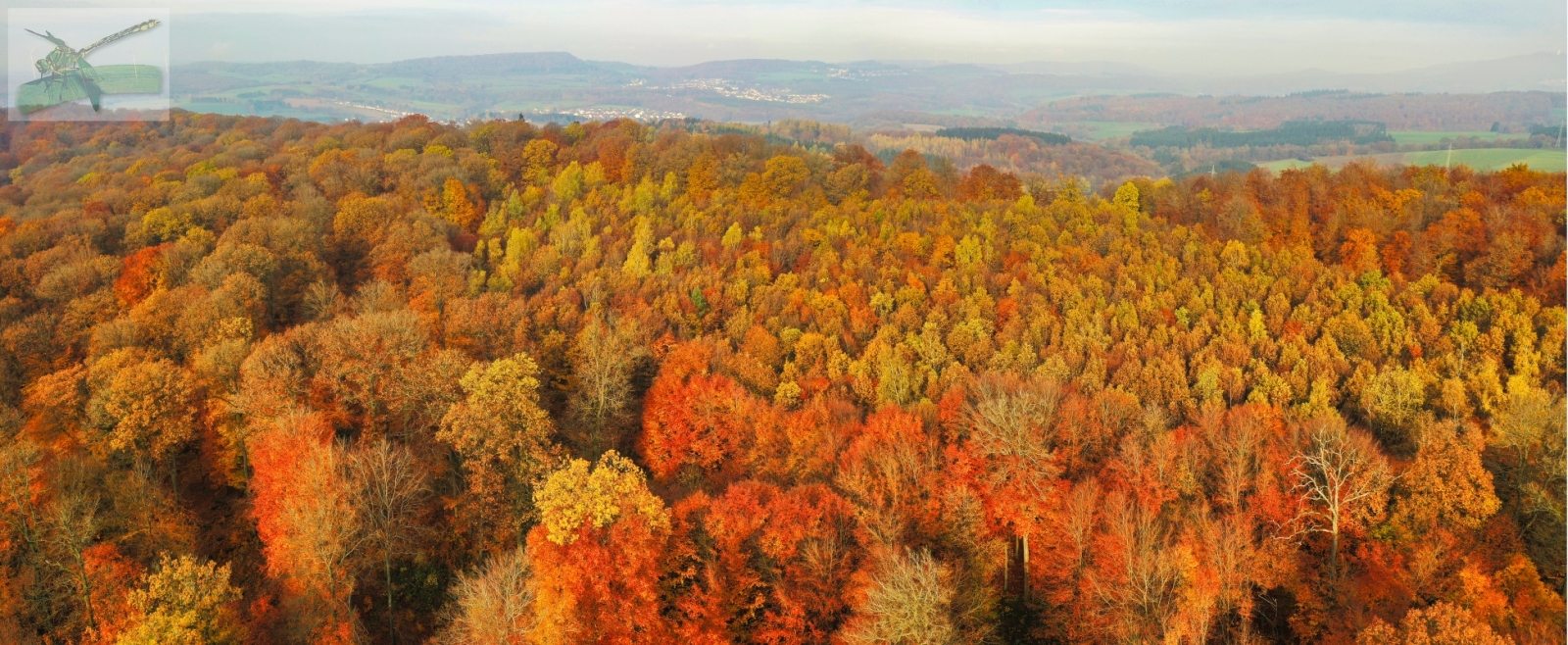 16Nov19-Eppelborn-Pan141-2a